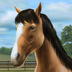 ‎My Horse（Android、iOS）